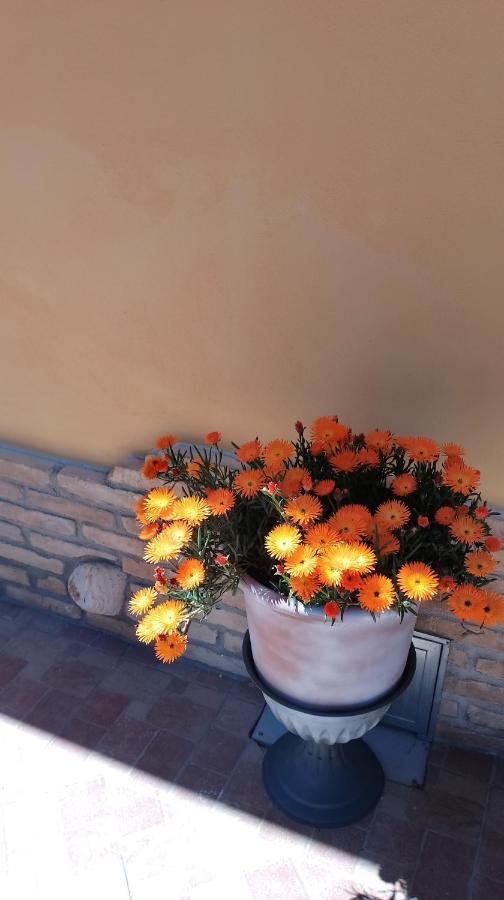 L' Acero Rosso Villa Miglianico ภายนอก รูปภาพ